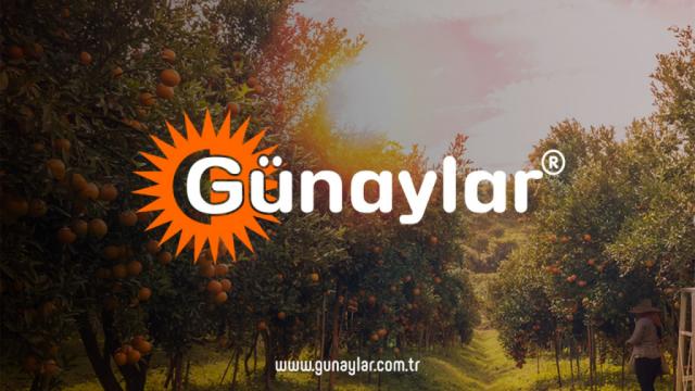 Web Sitemiz Yenilendi